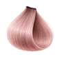 ETB Hair ColorVerse Permanent Hair Color 10.2