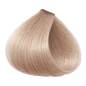 ETB Hair ColorVerse Permanent Hair Color 10.9