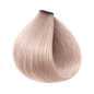 ETB Hair ColorVerse Permanent Hair Dye 11.12