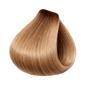 ETB Hair ColorVerse Permanent Hair Dye Pure Toner Caramel Latte