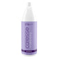 ETB Hair CARESSE Professzionális NO-YELLOW TONING Hamvasító Sampon, 1000 ml