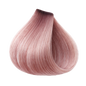 ETB Hair ColorVerse Vopsea De Păr Profesională Fără Amoniac, Vegană, Fără PPD Pure Toner Pink Powder 100ml