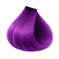 ETB Hair ColorVerse Permanent Professional Hair Dye, Vegan, PPD-Free, Booster Purple